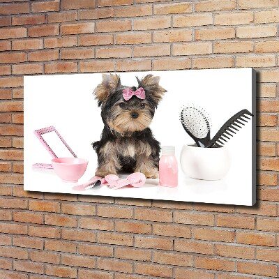 Fotobild Yorkshire Kosmetik