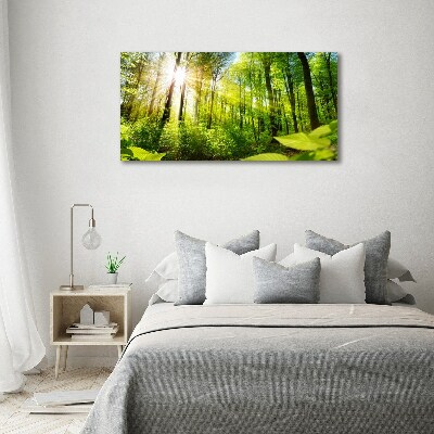 Wandbild Wald in der Sonne