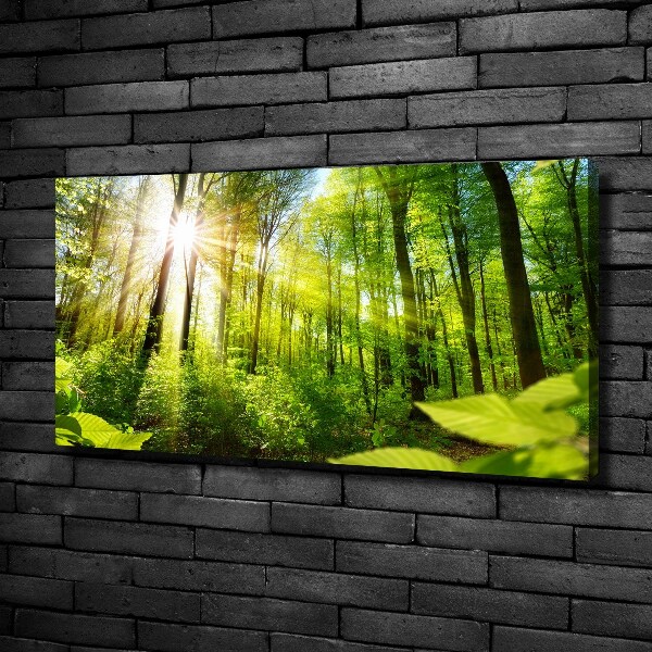 Wandbild Wald in der Sonne