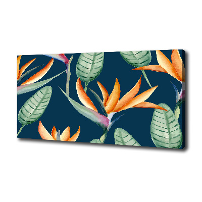 Wandbild Strelitzia reginae