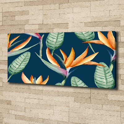 Wandbild Strelitzia reginae