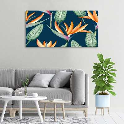 Wandbild Strelitzia reginae