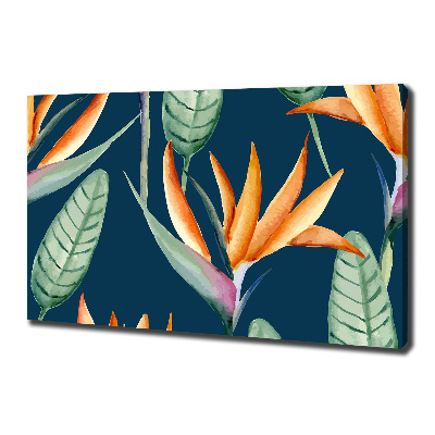 Wandbild Strelitzia reginae