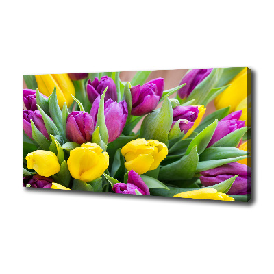 Fotobild Bunte Tulpen