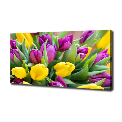Fotobild Bunte Tulpen