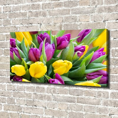 Fotobild Bunte Tulpen