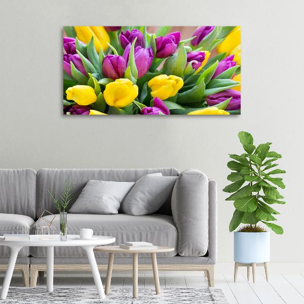Fotobild Bunte Tulpen