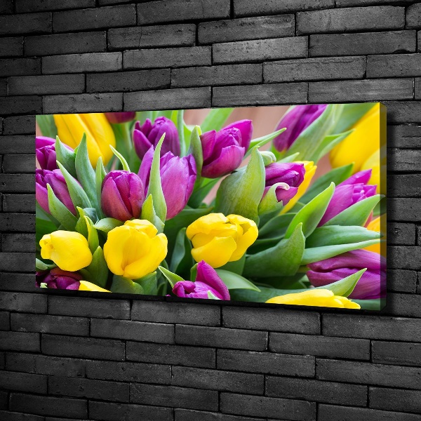 Fotobild Bunte Tulpen