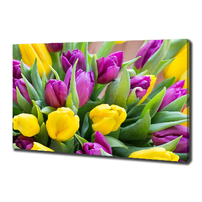 Fotobild Bunte Tulpen