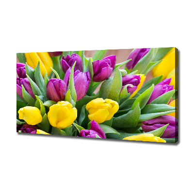 Fotobild Bunte Tulpen
