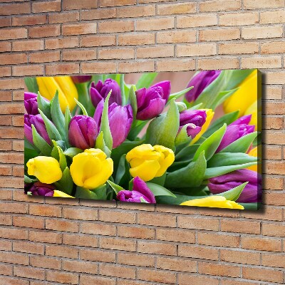 Fotobild Bunte Tulpen