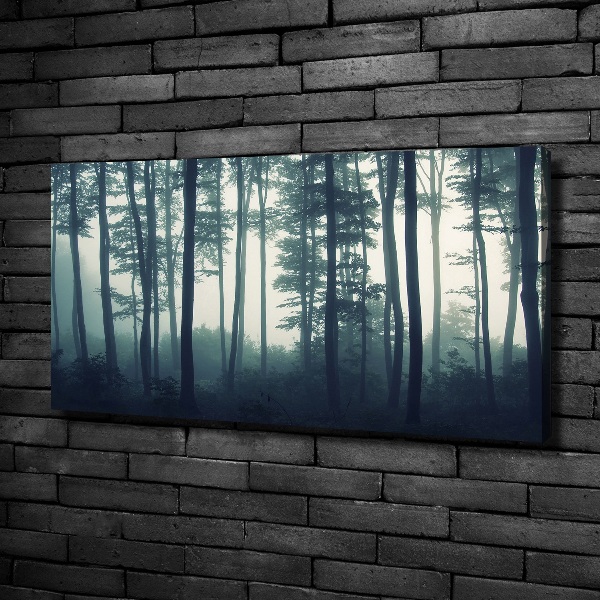 Bild auf leinwand Wald im Nebel