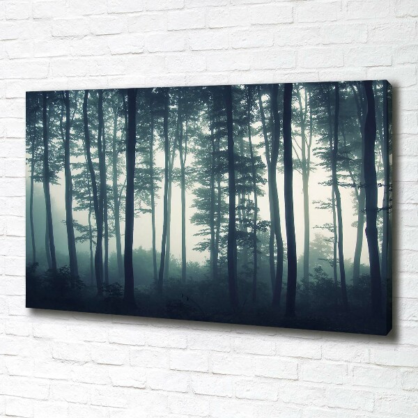 Bild auf leinwand Wald im Nebel