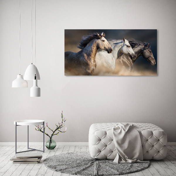 Bild auf leinwand Pferde im Galopp