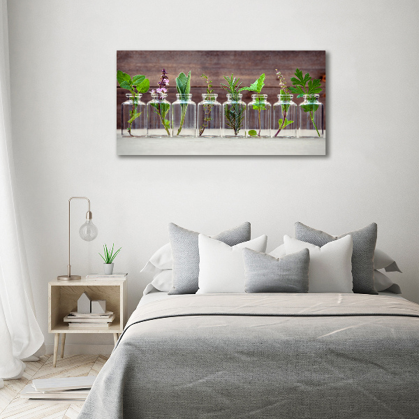 Bild auf leinwand Pflanzen in Gläsern