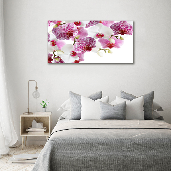 Bild auf leinwand Orchidee