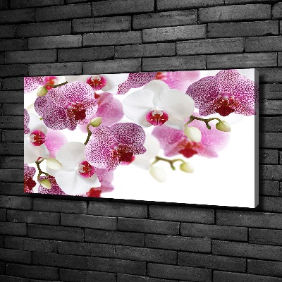 Bild auf leinwand Orchidee