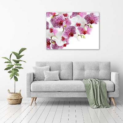 Bild auf leinwand Orchidee