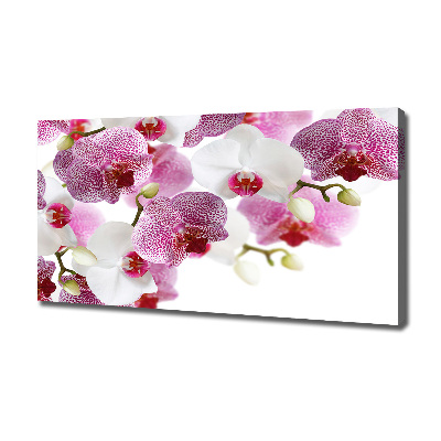 Bild auf leinwand Orchidee