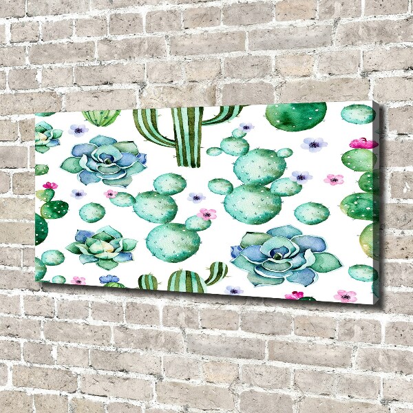Bild auf leinwand Kakteen