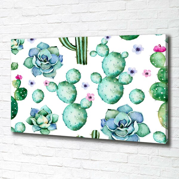 Bild auf leinwand Kakteen