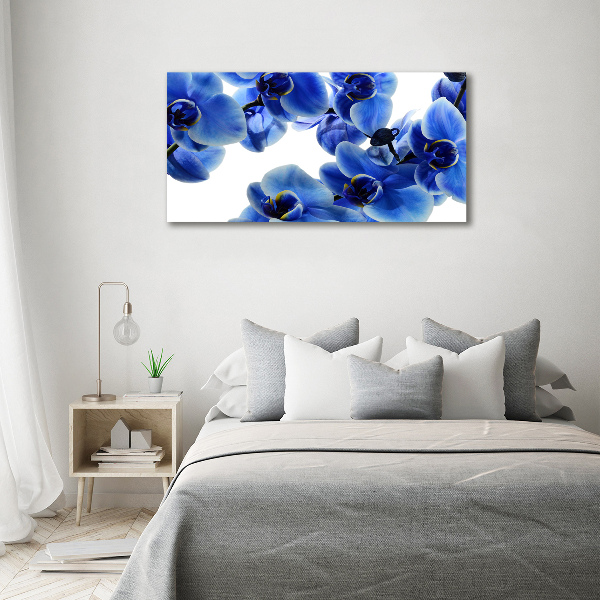 Fotobild Blaue Orchidee