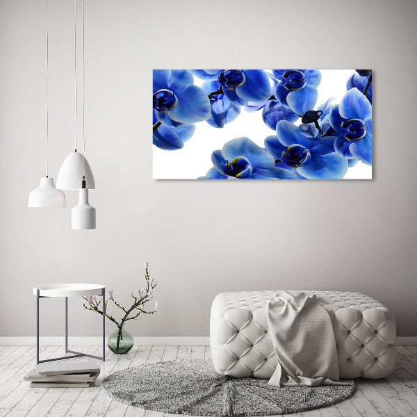 Fotobild Blaue Orchidee