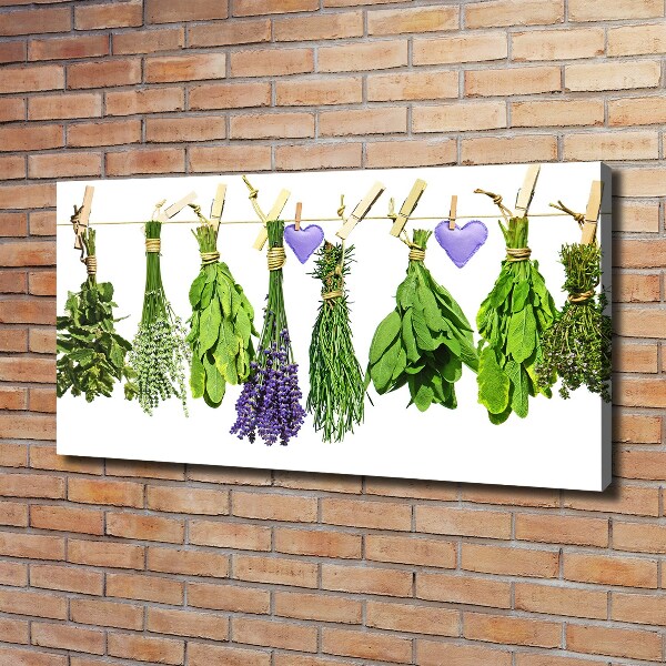 Wandbild Kräuter an einer Schnur