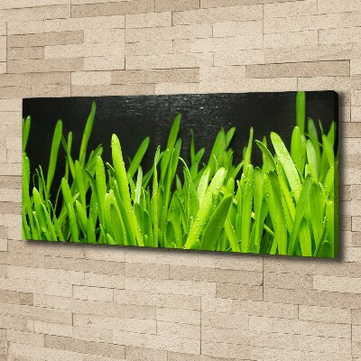 Bild auf leinwand Gras