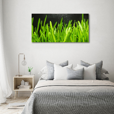 Bild auf leinwand Gras