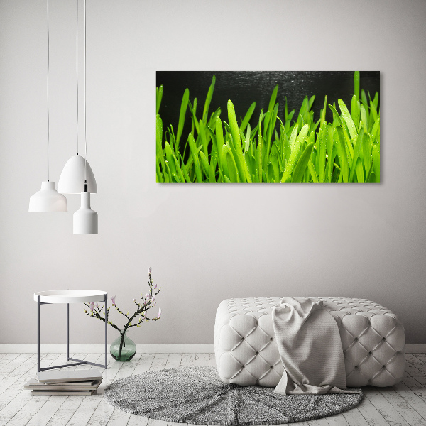 Bild auf leinwand Gras