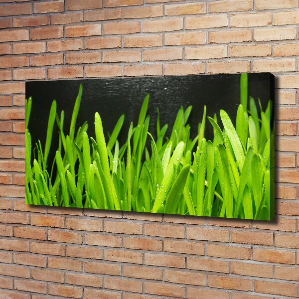 Bild auf leinwand Gras