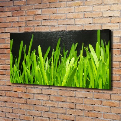 Bild auf leinwand Gras
