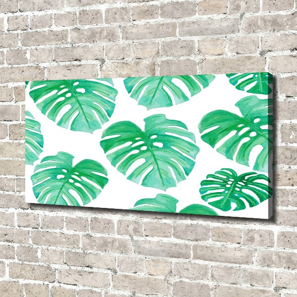 Wandbild Monstera