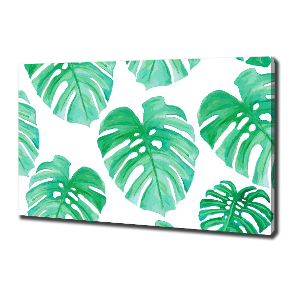 Wandbild Monstera
