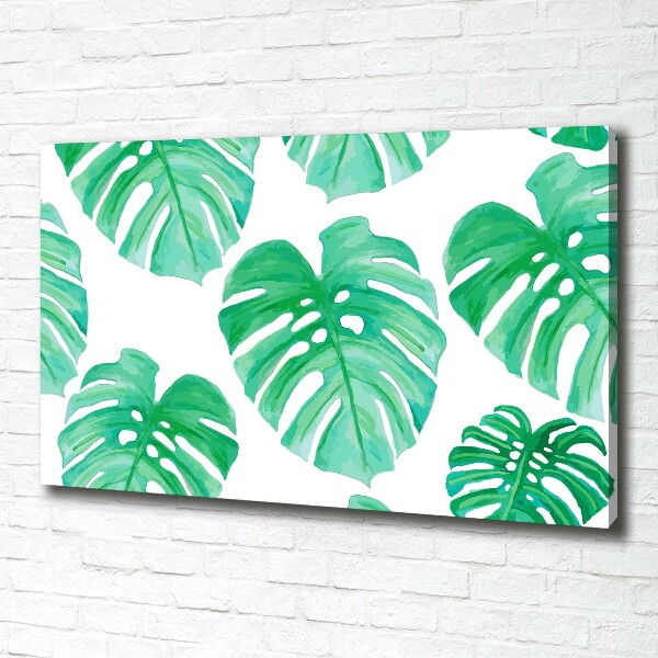 Wandbild Monstera