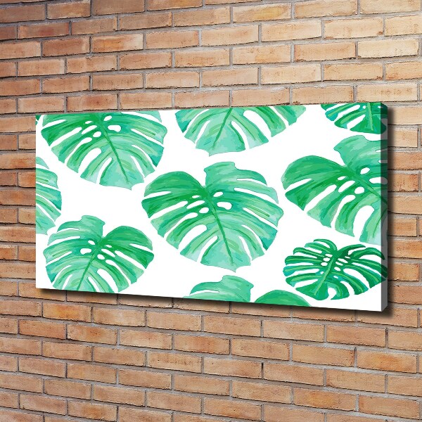 Wandbild Monstera