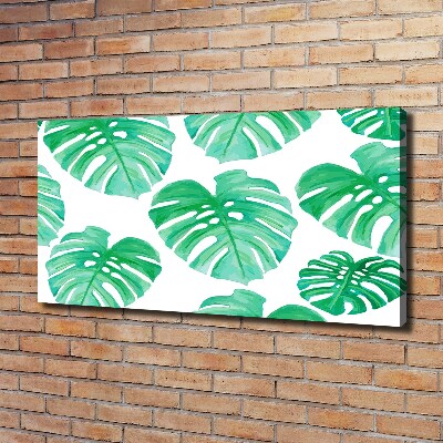 Wandbild Monstera