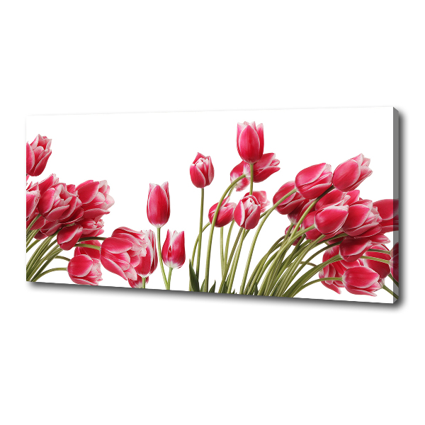 Bild auf leinwand Rote Tulpen