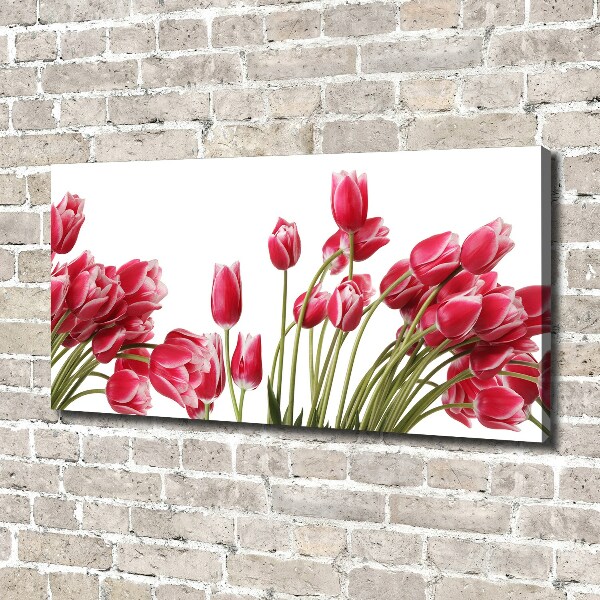 Bild auf leinwand Rote Tulpen