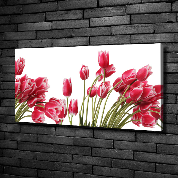 Bild auf leinwand Rote Tulpen