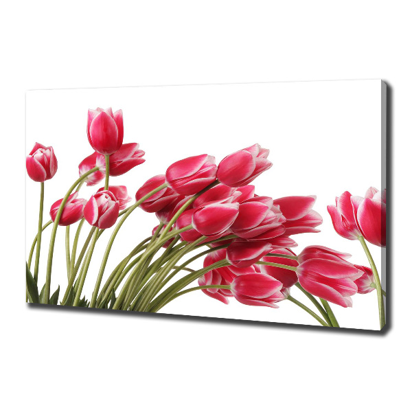 Bild auf leinwand Rote Tulpen