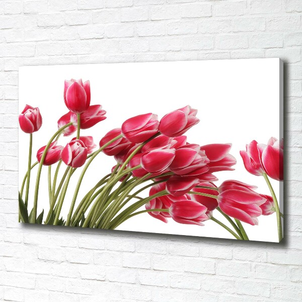 Bild auf leinwand Rote Tulpen