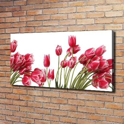 Bild auf leinwand Rote Tulpen