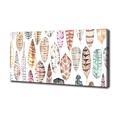 Wandbild Bunte Federn