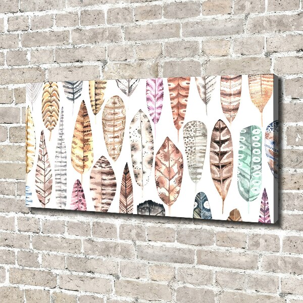 Wandbild Bunte Federn