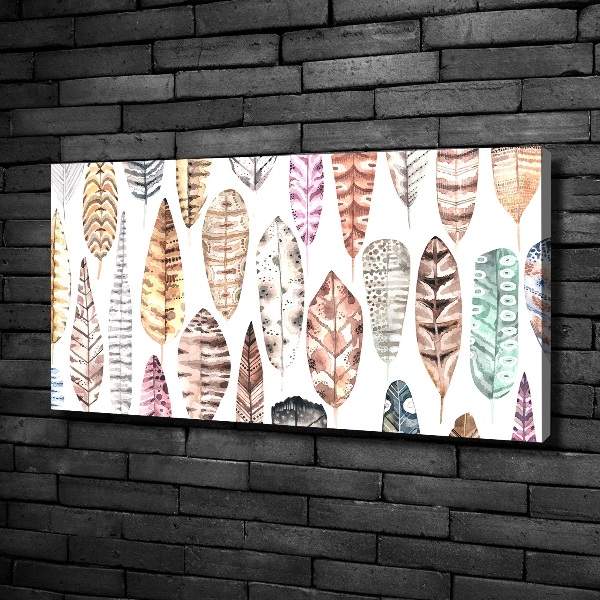 Wandbild Bunte Federn