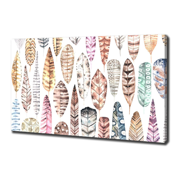 Wandbild Bunte Federn