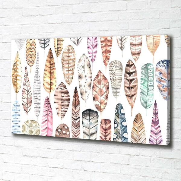 Wandbild Bunte Federn