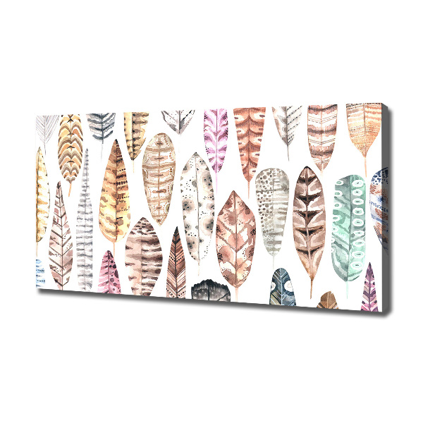 Wandbild Bunte Federn